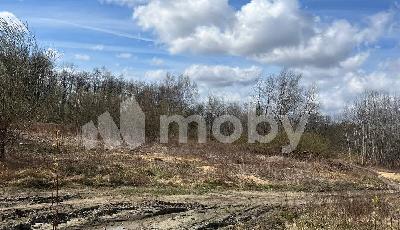 поселок Холмогоровка,  , 9d9450b6-3dde-4d40-b560-38d181acbb06.jpeg