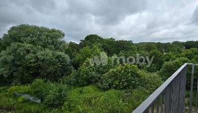 Калининград, ул Сержанта Мишина 81, a02cbacc-5a5b-4f53-b818-3505b953e59a.jpg