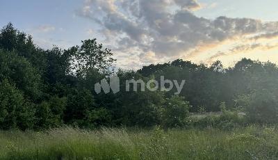 поселок Малое Васильково,  , a0914ad7-869b-4a4c-b2ff-78b8769af9fe.jpg