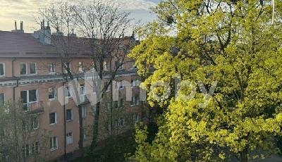 Фото: a09bd5d1-d7e2-4c9e-8b63-c90fb8a9bf04.jpg