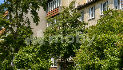 г Светлогорск, Сиреневый переулок 4, a16f2fe5-909f-4381-b536-4ff8e155e090.png