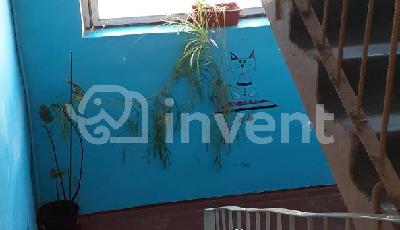 Фото: a1d12284-d4f1-4d74-9087-085b5e26d922.jpg