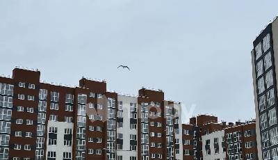 г Калининград, ул Елизаветинская 4, a2891413-0902-479d-83e1-a597b23a0106.jpg