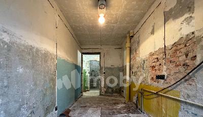 Фото: a343666f-eca6-4d2e-b438-412ce14d536a.jpg