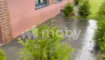 г Светлогорск, ул Ольховая 19, a39b503e-4909-42a5-9e9e-26c4855ecd27.png