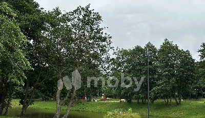 г Пионерский, ул Октябрьская 2, a64647ae-f547-4c23-a069-323853185051.png