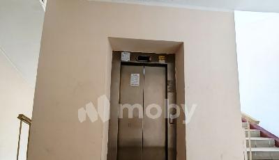 Фото: a6e9fdea-da0c-4fd8-9a66-481e433f3df8.jpg