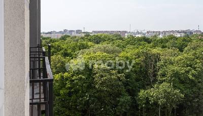 Фото: a7d560e7-c894-441f-b4bd-28c742c759d3.jpg
