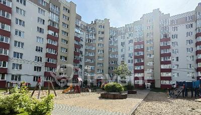 Фото: a841c79d-e1e6-45d0-a81b-22d4bd843422.jpg
