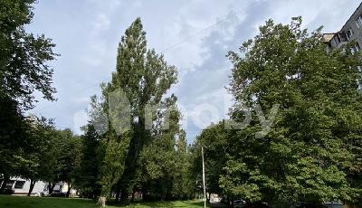 г Калининград, ул Фрунзе 62, a9a4f76a-019d-4b94-92ff-c8603b6c6130.jpg