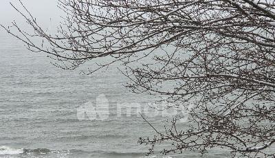 г Светлогорск, ул Ленина 15, aa58e119-dcdc-42e3-9ee6-137b48368465.jpg