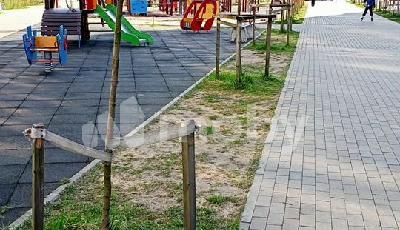 Фото: aa8f514d-b86d-410d-9664-35ab775d43d9.jpg