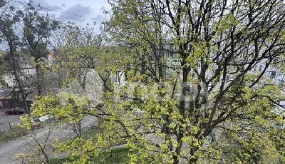 г Калининград, Мира проспект 79, aacee7e1-d842-4d39-8c80-87df7c26232a.jpg