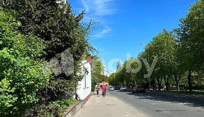 Фото: ac7f74fb-2c18-4ce7-ad13-95035d7c4a2b.jpg