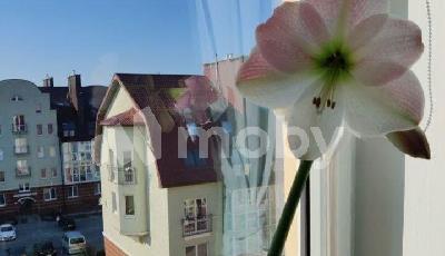 Фото: af0158b7-1154-4c61-9c9b-b1ae98312948.jpg