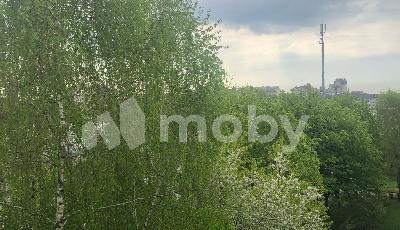 Фото: af2a52b9-e514-4070-b420-c21a71d276ac.jpg