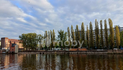 г Калининград, ул Багратиона 70, af78dd22-6c3b-45c4-9191-995b8177d6fa.png