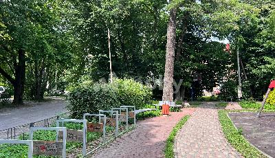 Светлогорск, ул Карла Маркса 6/2, b104e9f6-1125-490d-ba8d-aff27359e3a7.jpeg