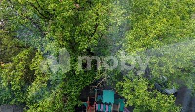 г Калининград, ул Лейтенанта Яналова 36, b159237c-f141-437e-9dd6-e6383a7abf74.jpg