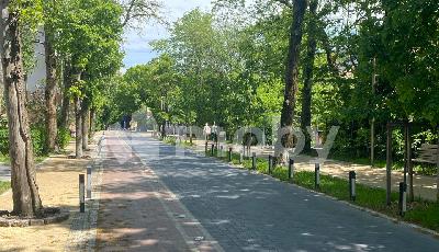 Фото: b1d6210a-1788-4bf1-b03c-03dfaeb05af6.jpg