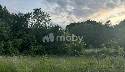 поселок Малое Васильково,  , b252681e-f176-43ad-93fb-8a4557afe079.jpg