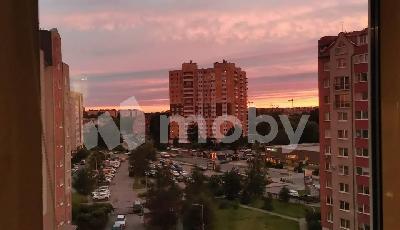 Фото: b33adc3c-4df2-46aa-b646-e05126b61494.jpg