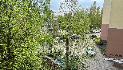 Фото: b46bfe31-4d59-47ae-b44c-b474f9a72926.JPG