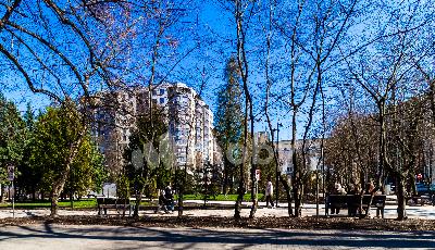 г Калининград, ул Репина 37, b49cd427-56cc-4c6e-9886-3769bcec8211.jpg