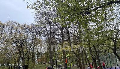 г Калининград, ул Юношеская 6, b5a812bd-e22a-4c45-bd41-7ed6c8c54ce1.jpg