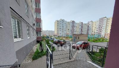 Фото: b7b17b56-db03-48c7-8b56-402f253adfd1.jpg