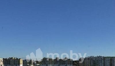 Фото: b9ee4f33-305d-4792-b60a-154bd095af34.jpg
