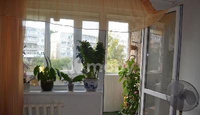 г Калининград, ул Воскресенская 4, bbdc6735-55d6-4aac-b108-b7a1397a4696.jpeg
