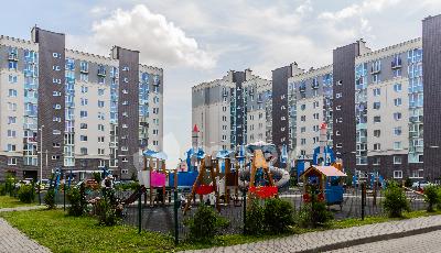 Фото: bc815c23-baba-4ea6-a1f9-99f023dd5480.jpg