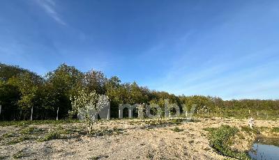 поселок Нивенское, ул Яблочная , be9823a5-d4f5-4fbb-98e5-f0b868fe37a3.jpg