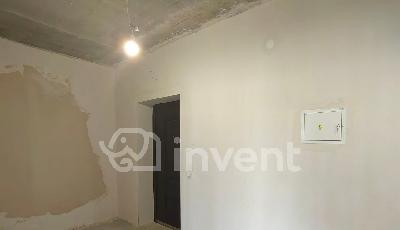 Фото: beae7933-917a-413a-8888-d77a1c21b408.jpg