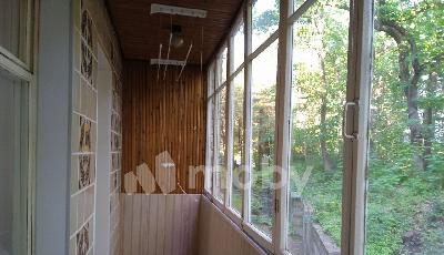 Фото: beddc37c-d75c-4aaf-b777-92037a5dbd60.jpg