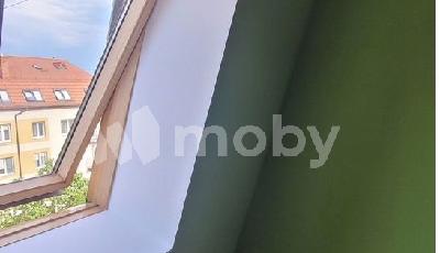 г Пионерский, ул Шаманова 14, bfd88244-072f-47eb-ad16-055df88f1bf4.jpg