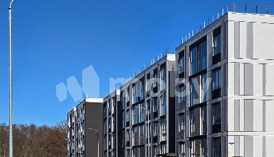 Калининград, ул Сержанта Мишина 81, bffe5689-0720-4e7b-8756-11b810c809c5.jpg