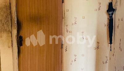 Фото: c0401795-cb05-44c7-9c3a-32ac554c0d55.jpg
