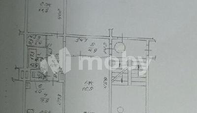Калининград, Л.Шевцовой б-р 36, c0457f15-efd6-48af-a5f0-395b343cbee2.jpg