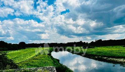 поселок Зеленополье, ул Правдинская 41/1, c222be22-e464-4270-9c0b-a8680b098f5e.jpeg