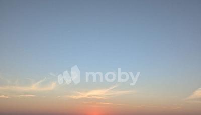 г Калининград, ул Горького 164, c25f583b-de83-46b4-bd0b-6ddab1d66746.jpg