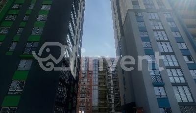 Фото: c287540f-a2f7-4c11-b1bc-345d02e31b2b.jpg