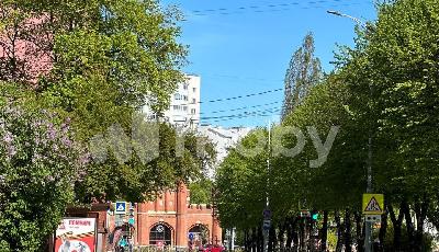 Фото: c2b89d1d-d003-4d2f-a5d0-6f6e54a4f881.jpg