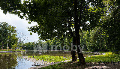 г Калининград, ул Земельная 8-8А, c300cfac-c365-4910-a5fb-1c9318807fde.png