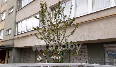 Калининград, ул Товарная 14, c4186197-aa60-44f1-86a8-b7e345132032.jpeg