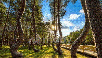 поселок Морское, ул Первомайская 20, c61c6b7a-1f1e-48c7-b64f-87b8cfbb14dd.png