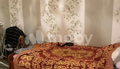 Фото: c63a150e-2c11-413d-a472-f484d3f3c740.jpg