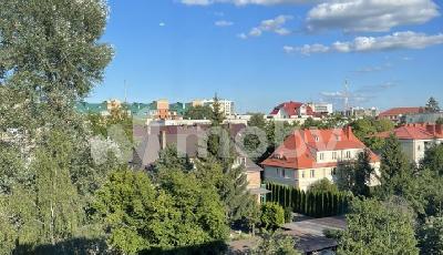 Фото: c6a8e5a9-58f8-4448-9631-14655f85c75d.jpg