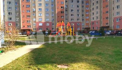 Фото: c6c9d438-4d43-47b0-99b8-a9543e332341.jpg